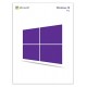 Windows 10 Pro 64 bit ESD
