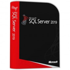SQL Server 2019 Standard + 10 User CALs ESD